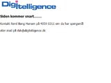 Digitelligence Danmark