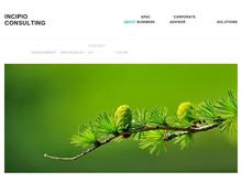 INCIPIO CONSULTING ApS